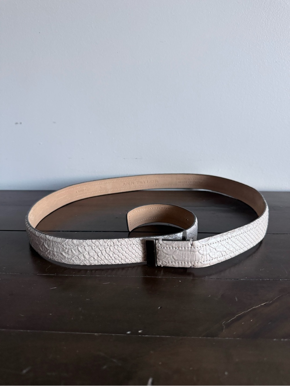 Ann Taylor Gray Embossed Leather Skinny Belt Size Large Snakeskin Print